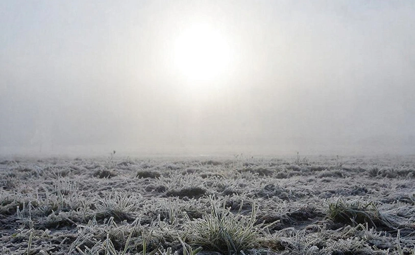 Фото: создано нейросетью