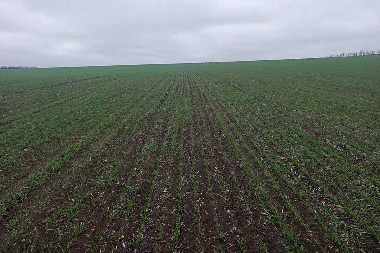 Фото: Правительство Ростовской области