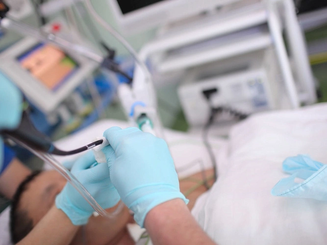 Фото: из публикаций 1rnd.ru