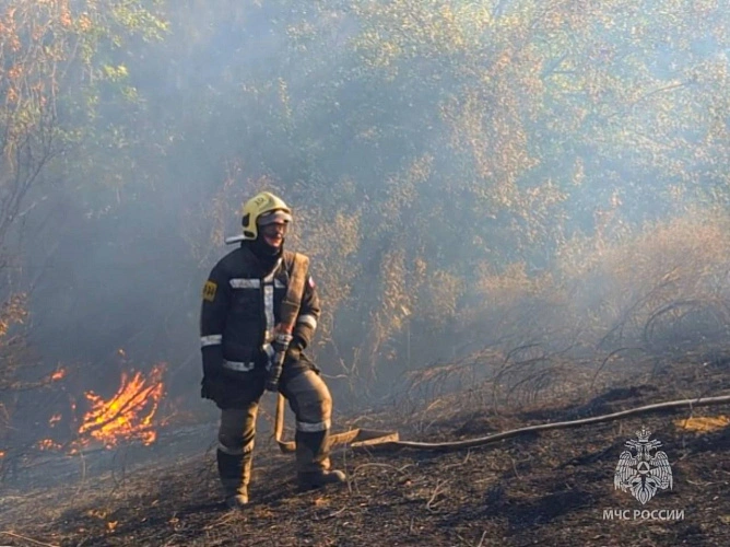 Фото: МЧС Ростовской области