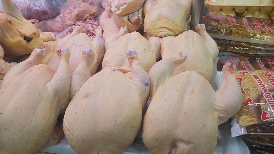 Фото: Тушки кур // фото: 1rnd.ru