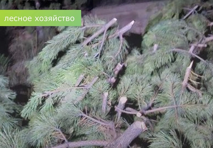 Фото: Минприроды Ростовской области