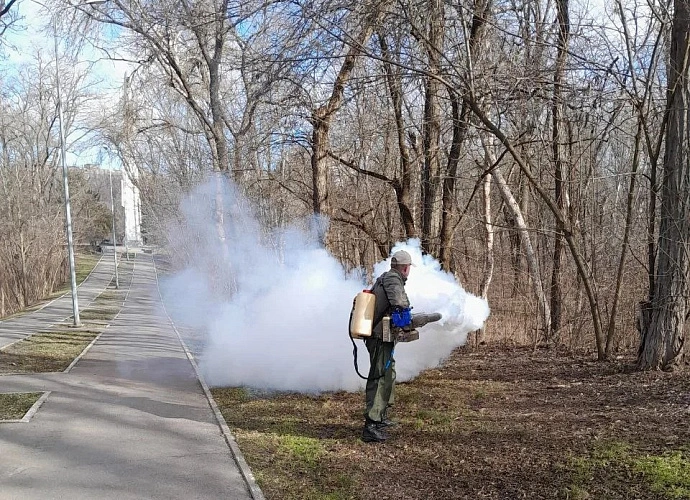 Фото: Администрация Ростова-на-Дону