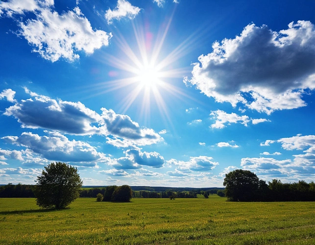 Фото: Изображение сгенерировано нейросетью 