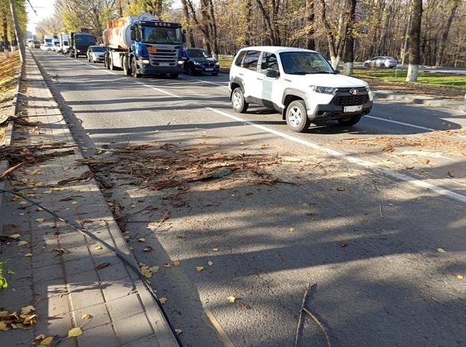 Фото: Администрация города Ростова-на-Дону