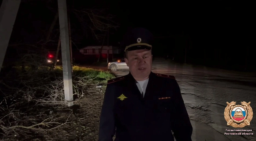 Фото: Госавтоинспекции Ростовской области 