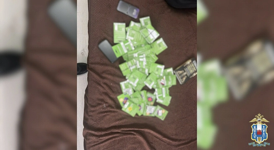 Фото: ГУ МВД России по РО