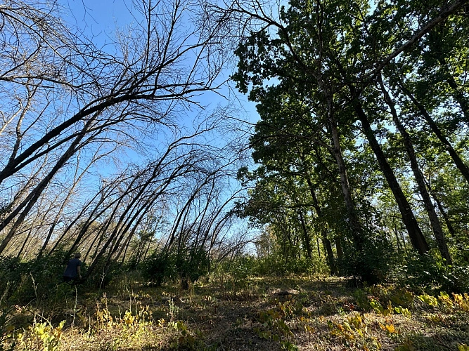 Фото: предоставлены пресс-службой администрации города Ростова-на-Дону