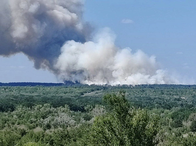 Фото: социальные сети