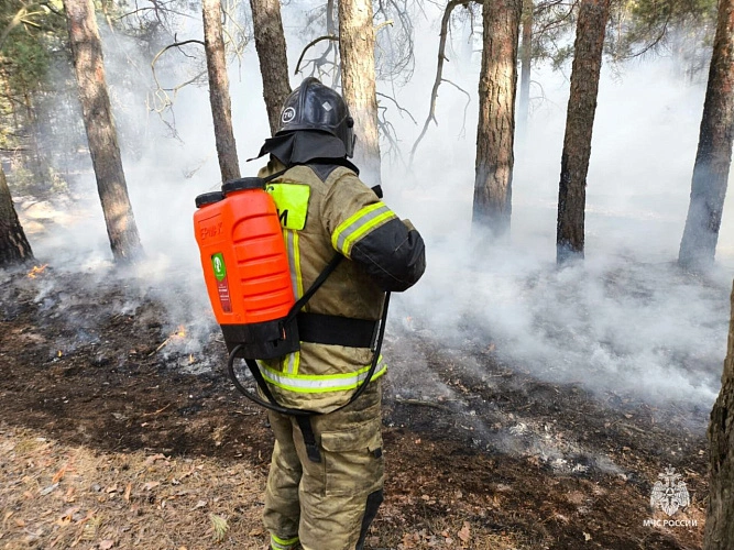 Фото: кадр донского МЧС