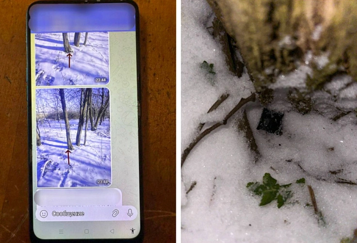 Фото: ГУ МВД РФ по РО