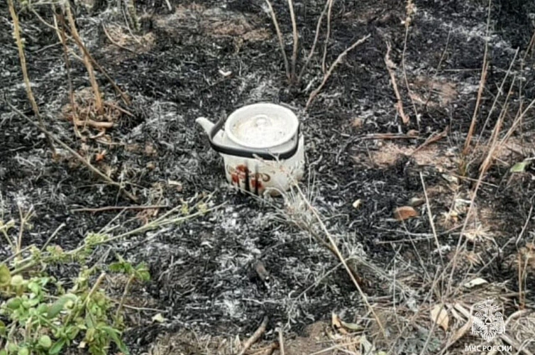 Фото: загорелось поле // кадр МЧС