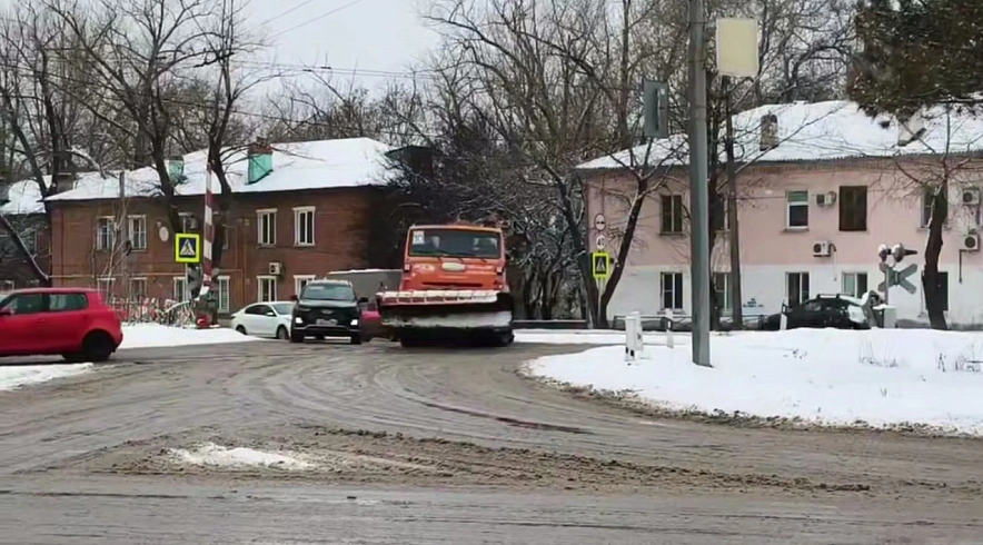 Фото: Светлана Камублова / tg.org