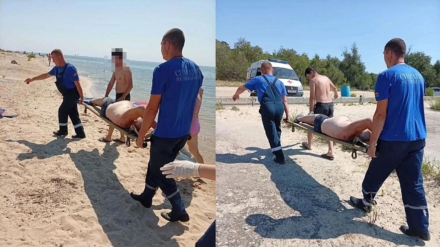 Фото: ГКУ РО "ПСС ВВ ТМ"
