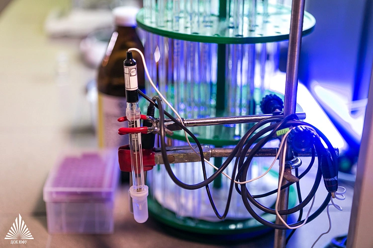 Фото: Победителями Российского научного фонда стали 16 проектов ЮФУ // фото ЮФУ