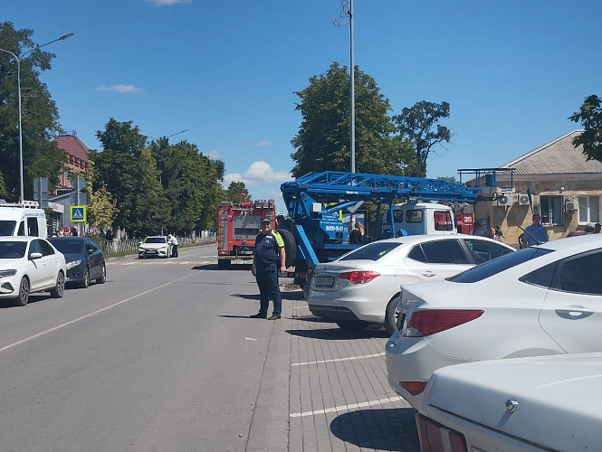 Фото: Донская полиция