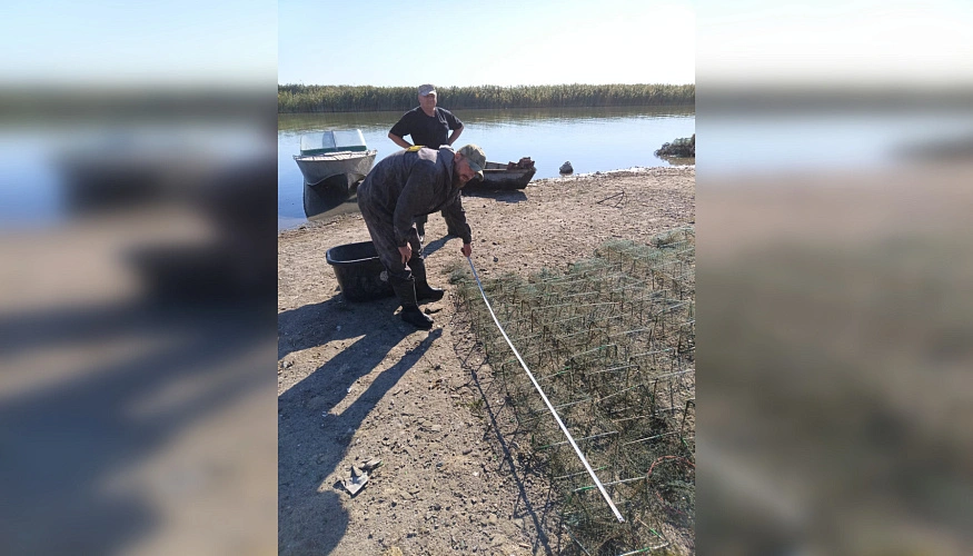 Фото: АЗОВО-ЧЕРНОМОРСКОЕ территориальное управление Федерального агентства по рыболовству