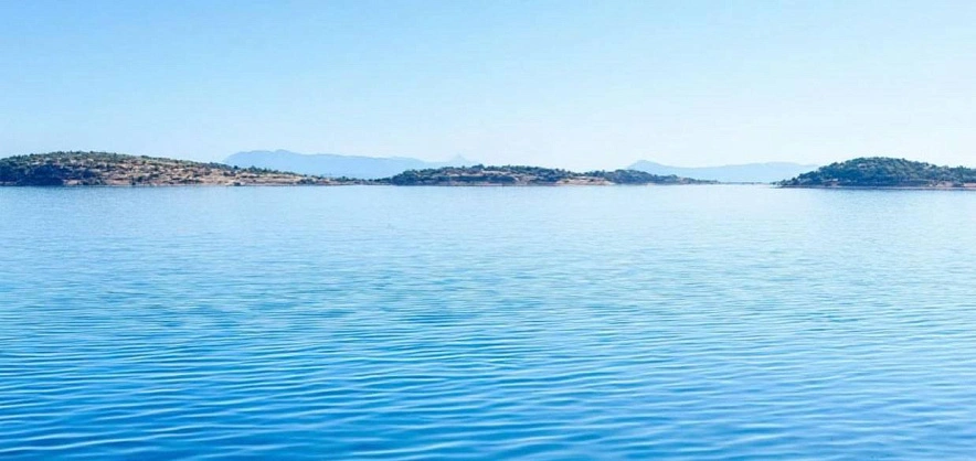 Фото: кадр МЧС РО