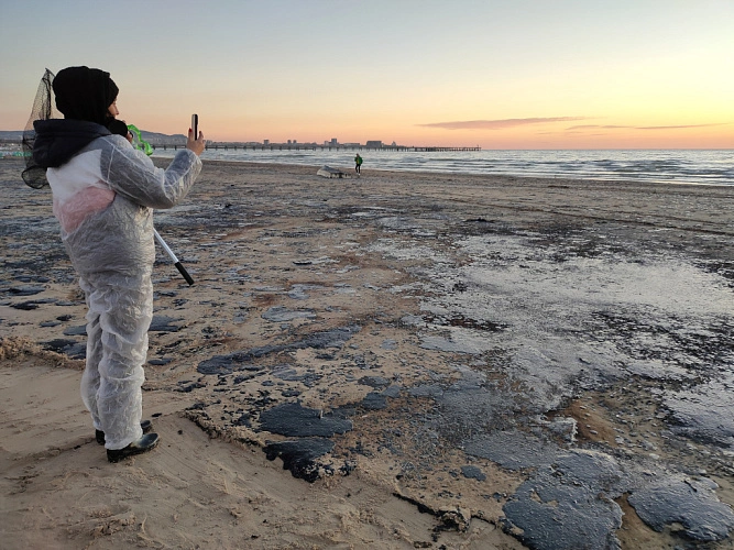 Фото: 1rnd.ru и пресс-службы билайн