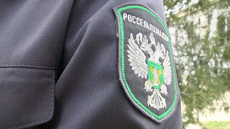Фото: Россельхознадзора РО