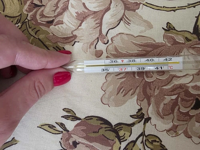 Фото: из архива редакции