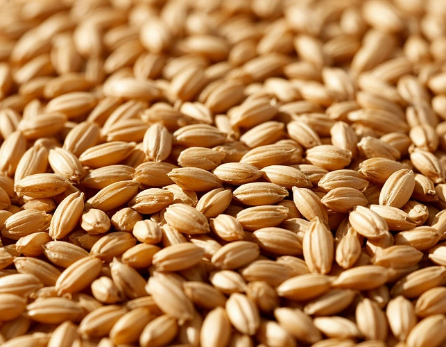 Фото: Изображение сгенерировано нейросетью 