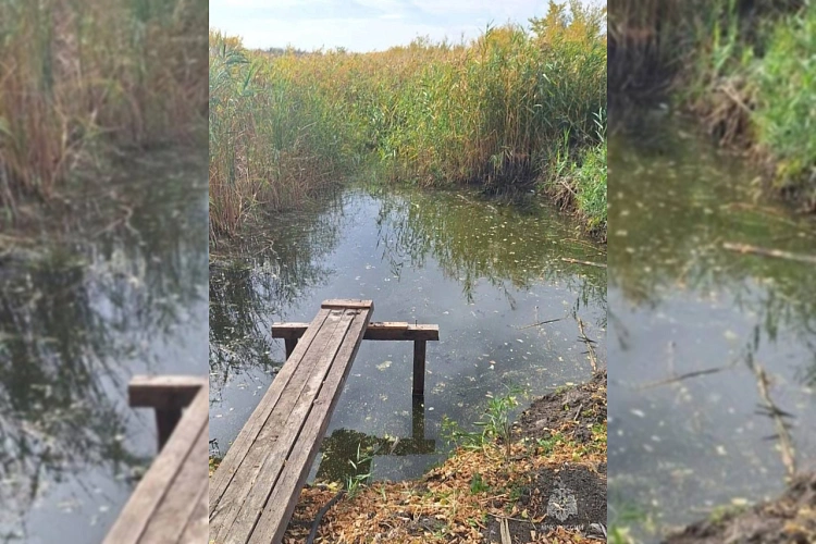 Фото: из архива МЧС по Ростовской области 