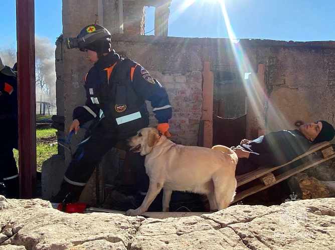 Фото: МЧС Ростовской области