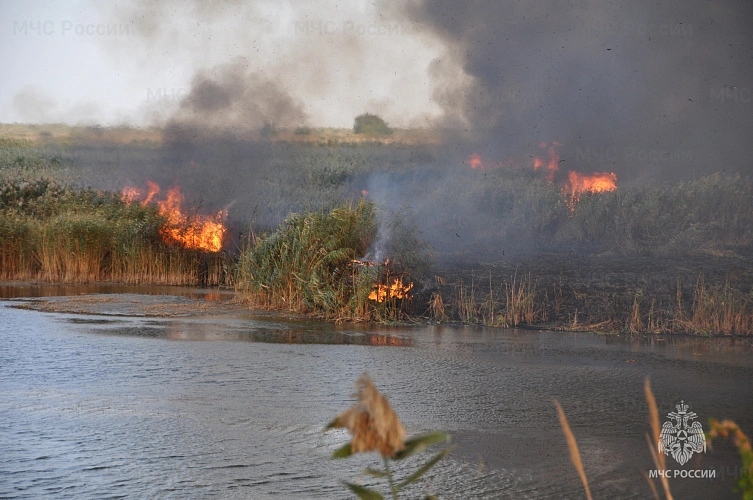 Фото: МЧС РО