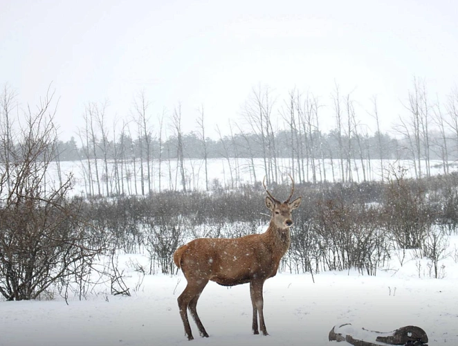 Фото: Минприроды Ростовской области