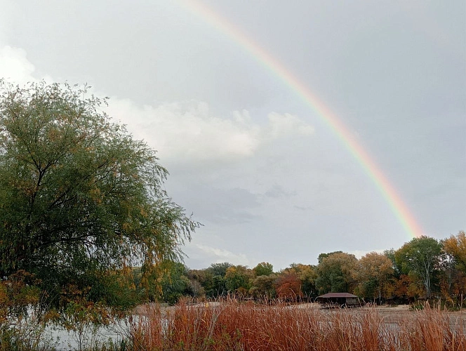 Фото: кадр 1Rnd