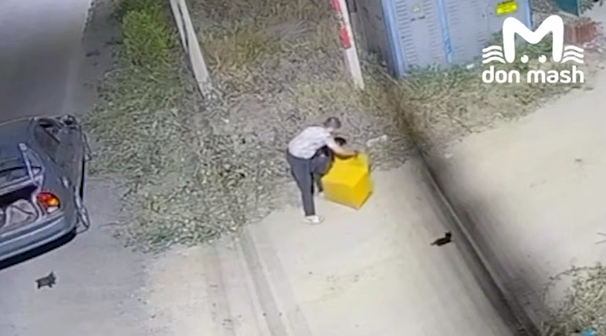 Фото: ТГ канала "Don Mash"