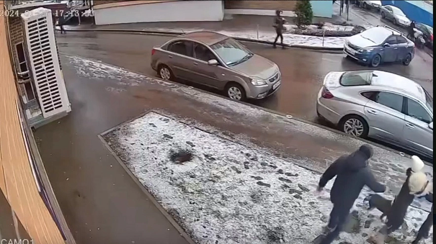 Фото: В Ростове стаффордширский терьер напал на девочку//скриншот с видео тг Че по Ростову 