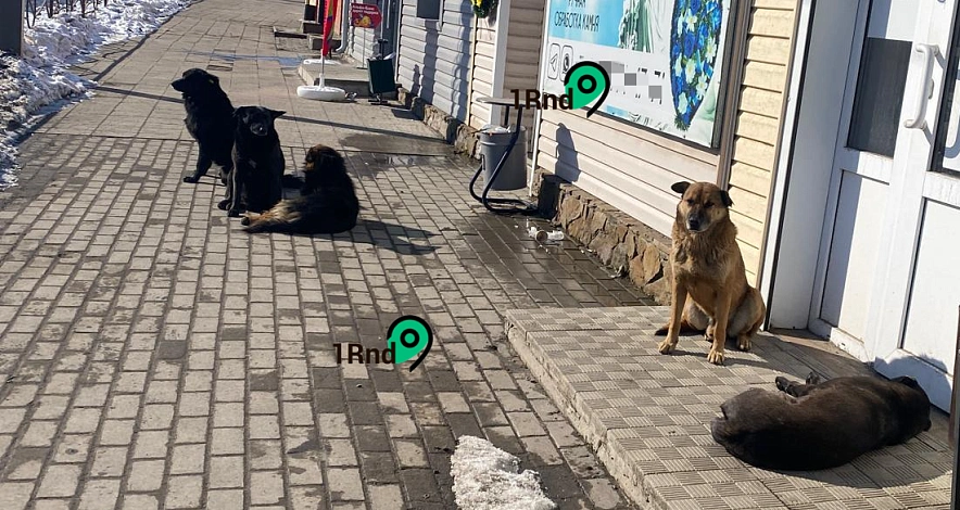 Фото: кадр 1Rnd