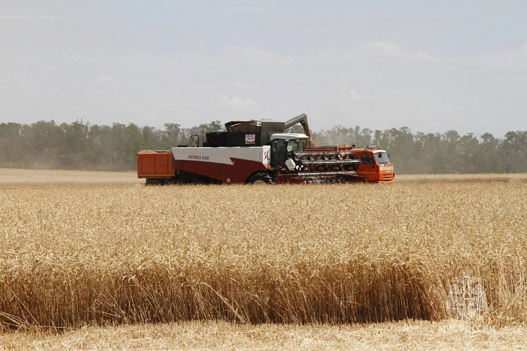 Фото: МЧС Ростовской области
