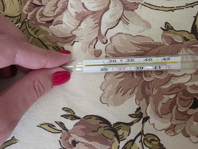 Фото: из архива редакции