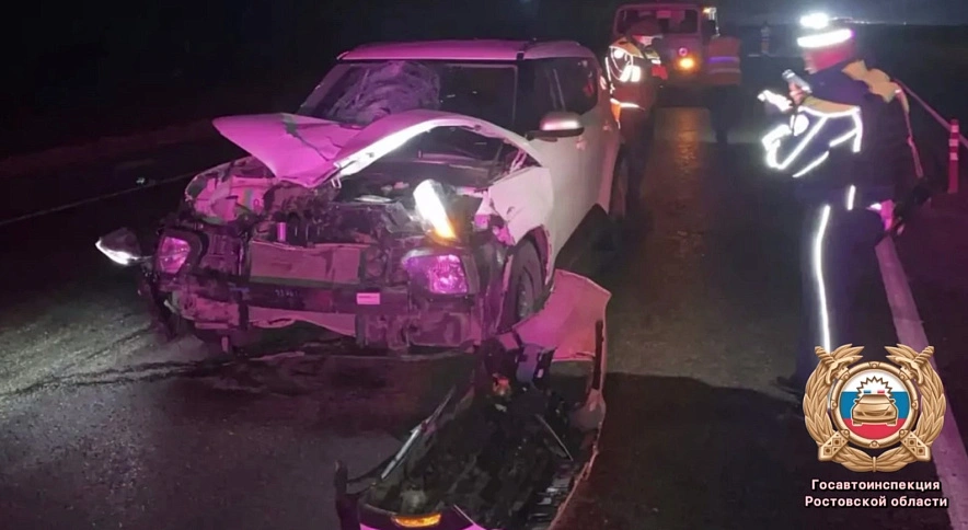Фото: Госавтоинспекции Ростовской области 
