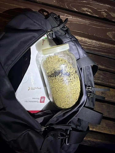 Фото: ГУ МВД России по РО