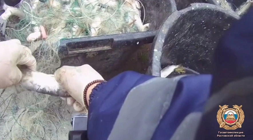 Фото: Госавтоинспекции Ростовской области 