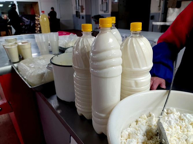 Фото: молоко в Ростове // кадр из архива 1rnd