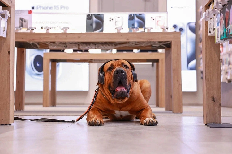 Фото: с сайта компании