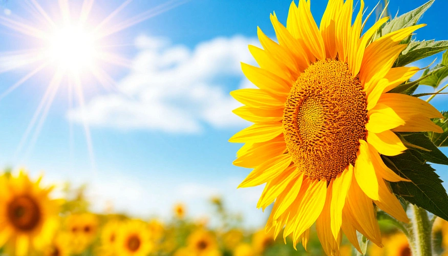 Фото: сгенерировано нейросетью Шедеврум