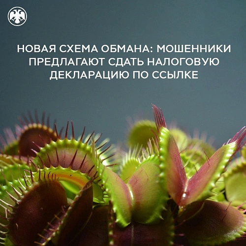 Фото: Банк России рассказал о мошенниках, которые выдают себя за налоговиков, фото -  ВК "Банка России"