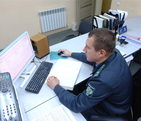 Фото: Управление Россельхознадзора по РВАОиРК