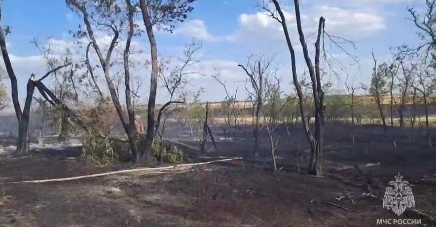 Фото: кадр донского МЧС