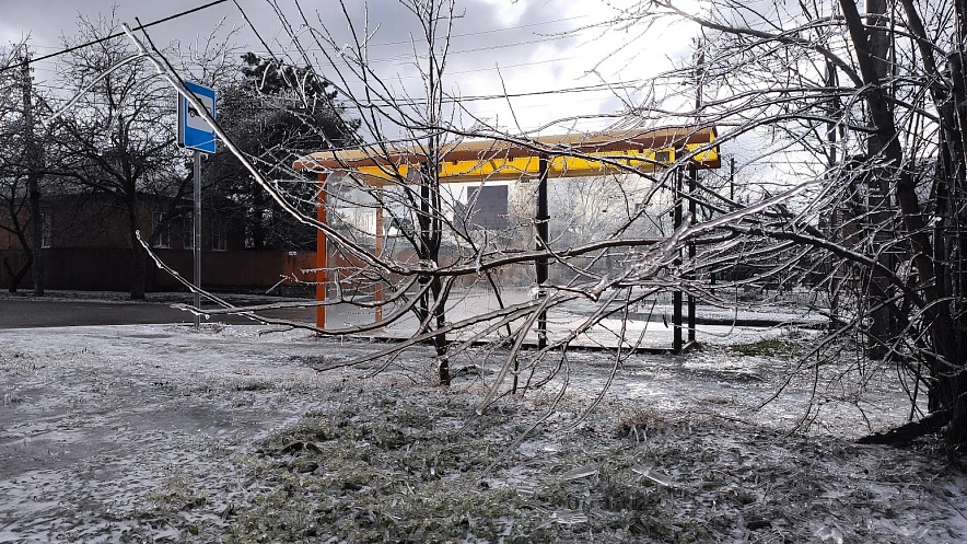 Фото: Оледеневшие ветки деревьев в Ростове, кадр 1rnd