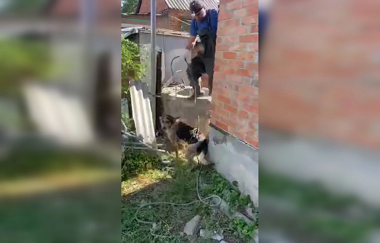 Фото: БАТАЙСК ГОРОД