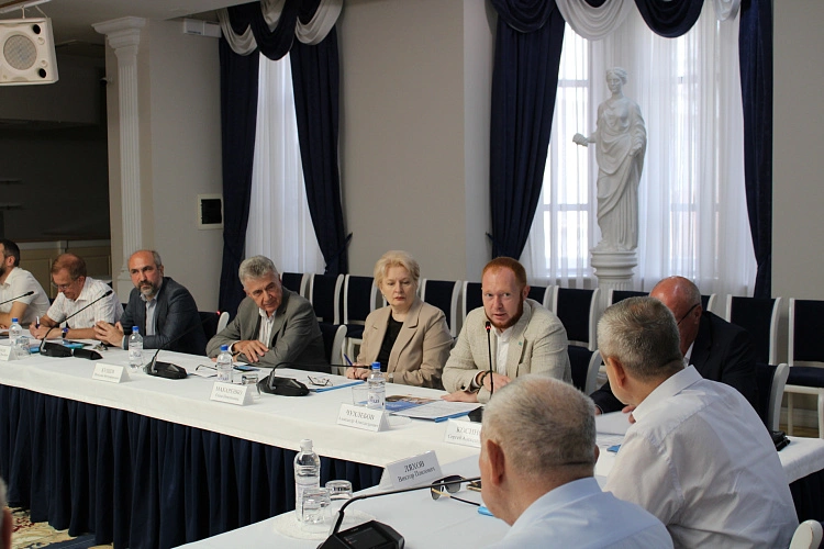 Фото: заседание // фото Общественной палаты РО