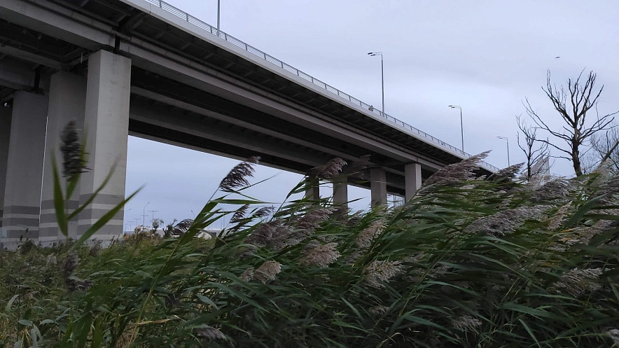 Фото: cильный ветер в Ростове, кадр 1rnd