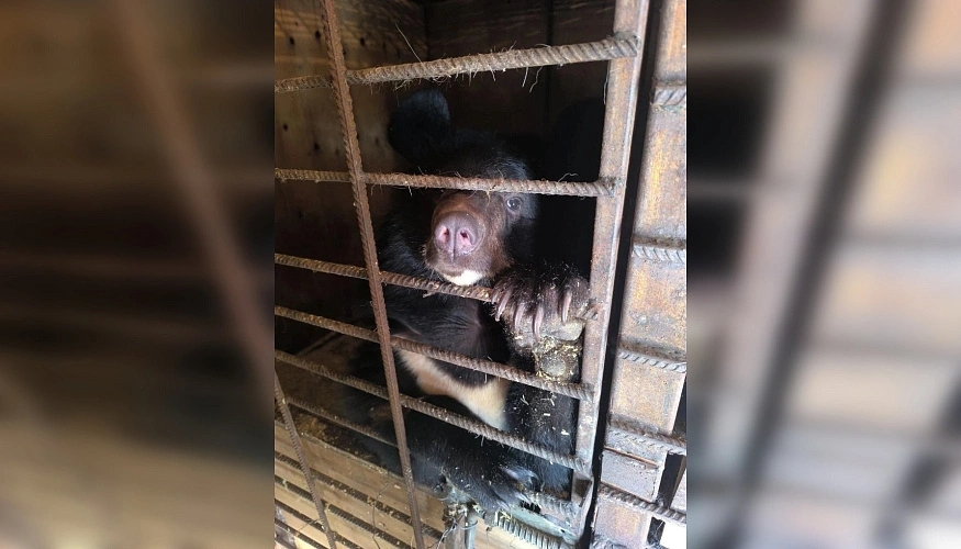 Фото: ТГ канала «Don Mash»